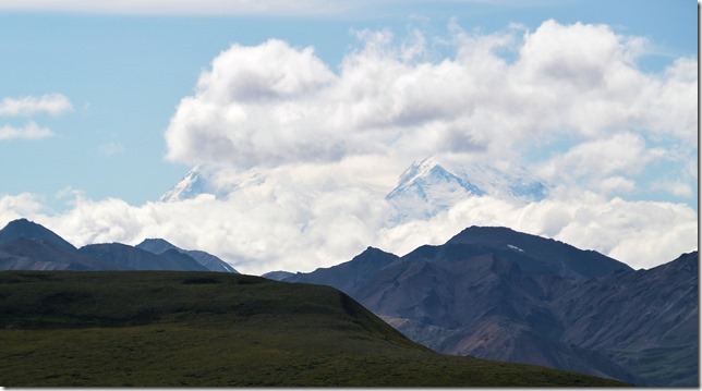 Denali, on the Ground – DIVERSITY ~~ the spice of life