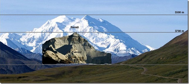 Denali, on the Ground – DIVERSITY ~~ the spice of life