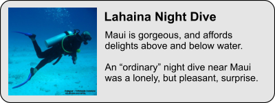 Maui is gorgeous, and affords delights above and below water.   An ordinary night dive near Maui was a lonely, but pleasant, surprise. Lahaina Night Dive