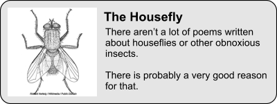There arent a lot of poems written about houseflies or other obnoxious insects.   There is probably a very good reason for that. The Housefly