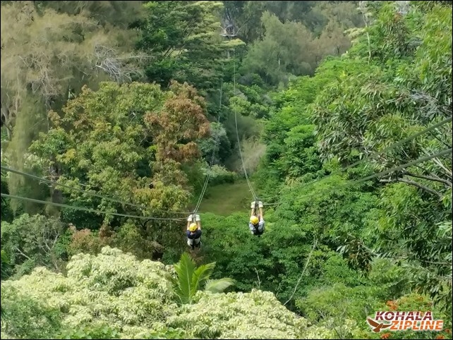 Kohala Zipline - 2019-06-15-14-51-51-750-1cfyy